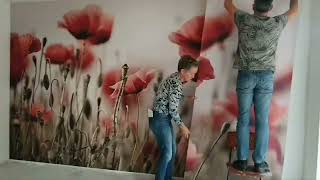 Fotobehang plakken  behangen klaprozen Paste  wallpaper photo wallpaper poppies [upl. by Maze755]