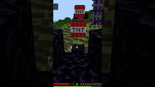 Wettlauf mit TNT in minecraft shorts lustig wochenende [upl. by Ellingston580]