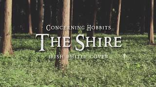 Lord of the Rings  The Concerning Hobbits The Shire theme Irish Whistle [upl. by Naillil]