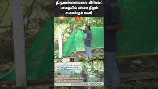 Tiruvannamalai Girivalam Path  Construction Of Green Shade  Shorts  Sun news [upl. by Lanor]