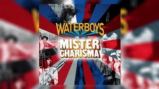 The Waterboys  Mr Charisma Official Audio [upl. by Calica]