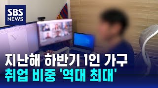 지난해 하반기 1인 가구 취업 비중 역대 최대  SBS [upl. by Zizaludba]