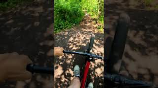 JUMPS IN THE WOODS MTB mtb bmx bike pov [upl. by Eizle]