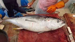 Precision Techniques Cutting a Giant Tuna Fish for Culinary Excellence [upl. by Eadnus]