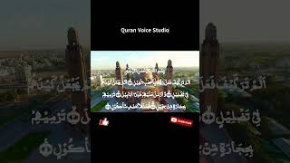 105 Surah Fil  Beautiful Voice Quran Recitation  quran quranverses amma juz [upl. by Brinna]