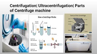 Centrifugation Ultracentrifugation Cell Fractionation [upl. by Lareneg963]