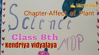 Multi Disciplinary Project Sub Science class 8th chapter  Affect of Plant MDP [upl. by Ehcnalb514]