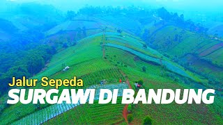 JSPD BANDUNG JALUR SEPEDA PIRDAUS BANDUNG TERBARU 2022  GOWES BANDUNG  PESEPEDA MAWAR [upl. by Lolly]