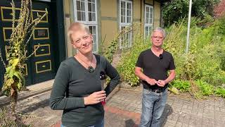 Live von Pias Bienenstand  26072024  Besuch in Celle [upl. by Weidman]