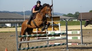 Sport equestri Equitazione Volteggio [upl. by Ellohcin]