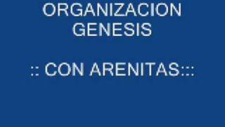 ORGANIZACION GENESIS CON ARENITAS [upl. by Aisanat]