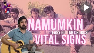 Namumkin by Vital Signs  Guitar Lesson w Tabs [upl. by Opportina601]