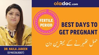 Best Days To Get Pregnant Urdu Hindi  Hamal Therne Ka Sahi Waqt  Fertility Days  Ovulation Period [upl. by Searcy]