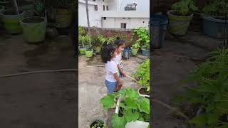 Twins love gardening  DIA DHVANI watering plants  outdoor activity diadhvani cutebaby toddler [upl. by Nitsua]