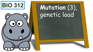 Mutation 3 genetic load [upl. by Elwee]