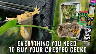 Beginners Guide To Crested Gecko Supplies  Tank Heater Light Substrate amp More [upl. by Slaby476]