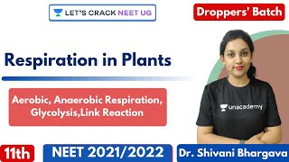 Respiration in Plants  Aerobic Anaerobic Respiration Glycolysis Link Reaction  Class 11th [upl. by Euqinehs920]