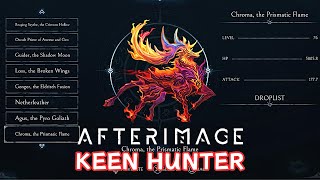 Afterimage  Keen Hunter Trophy Guide Complete the Bestiary [upl. by Ahsotal589]