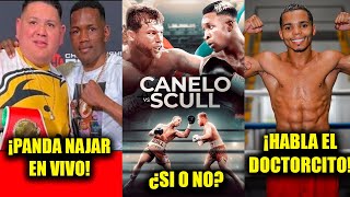 🤯 ¡Subriel MATIAS vs Liam paro con Panda NAJAR🔥 ¿SI o NO CANELO vs SCULL  Habla Yankiel RIVERA [upl. by Ariel]