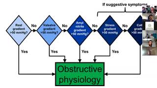 LVOT Obstruction [upl. by Jo-Ann33]