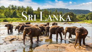 Sri Lanka 4K  Scenic Relaxation Film With Calming Music [upl. by Nutter]