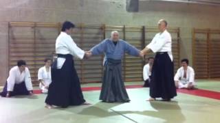 Sensei Giampietro Savegnago 11042012  09 [upl. by Nodnart]