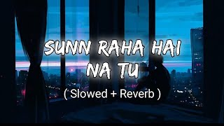 Sunn Raha Hai Na Tu Male Version  Aashiqui 2  Slowedreverb  Lofi Song  Aditya R KShraddha K [upl. by Nickerson]