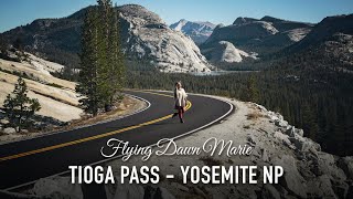 207 Tioga Pass FirstTimers Travel Guide Yosemite National Park  Tioga Road TOP SPOTS [upl. by Boles284]