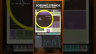 SORDINO STRINGS  Blending Articulations [upl. by Faro]