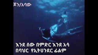 እንደ ሰው በምድር እንደአሳ በባህር ፊልም Amphibian Man [upl. by Yentirb]