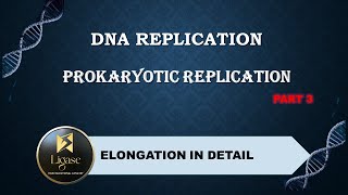 PROKARYOTIC REPLICATION PART 3 csirnet lifescience science [upl. by Asirral174]