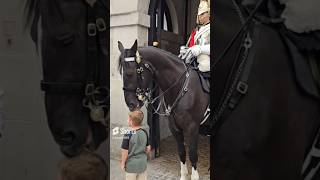 HORSE PLAYING WITH KIDS HAIR horse [upl. by Emmit]