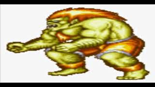 SF2  BLANKA THEME slowed  reverb [upl. by Kcirddes5]