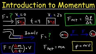 Introduction to Momentum Force Newtons Second Law Conservation of Linear Momentum Physics [upl. by Anaeirb537]