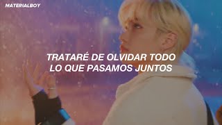 Stray Kids  Winter Falls  MV Sub Español [upl. by Eibur]