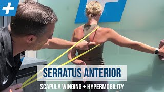 Serratus Anterior Exercises for Winging Scapula and Hypermobility  Tim Keeley  Physio REHAB [upl. by Ainival]