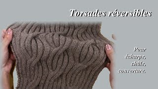 Tuto Tricot  Torsades réversibles [upl. by Daisie775]