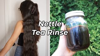 Nettle Tea Rinse for Healthy Hair  Scalp  Summer Growth Challenge ♡ [upl. by Ohnuj201]