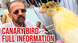 Canary Bird Information  Canary Ki Maloomat  Animal International [upl. by Arun530]