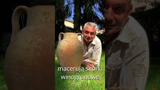 JAK UZYSKAĆ POMARAŃCZOWY KOLOR WINA wino winelover foodandwine buywinepl wine winetasting [upl. by Queenie]