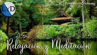 Música Relajante 🎼 Super Relajación y Meditación 🎶 Relajarse y Dormir ⛩ Música Zen [upl. by Ahsoet496]