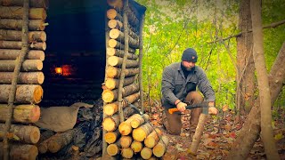 2 Day SOLO Adventure  Building a log hut in the woods Wood Stove cast iron cooking [upl. by Aliahkim608]