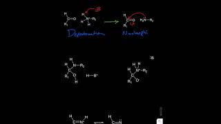 Schiff Base Formation [upl. by Lokcin]