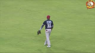 JUGADA EN HOME  TIRO DE RANDY AROZARENA  MAYOS DE NAVOJOA VS TOMATEROS DE CULIACAN JUEGO 3 [upl. by Maletta459]