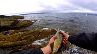 LRF Sea BASS amp Pollock Fishing  Loch Long  Scotland [upl. by Aicenek413]