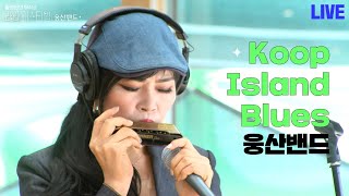 모든 음악의 근원 이것이 바로 블루스다 가을을 부르는 웅산의 하모니카연주까지 Koop island blues by 웅산밴드  230904 KBS 방송 [upl. by Nylasej709]