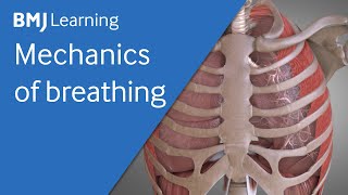 Basics of ventilation Mechanics of breathing  BMJ Learning [upl. by Oribella]