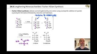 FischerKiliani Synthesis and Wohl Degradation Lengthening and Shortening Monosaccharides [upl. by Lyris]