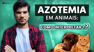 Como identificar e interpretar a azotemia nos animais [upl. by Einittirb379]