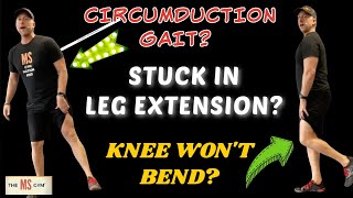 MULTIPLE SCLEROSIS EXERCISE  Circumduction Gait Knee Hyperextension This Exercise Is For YOU [upl. by Yuma498]